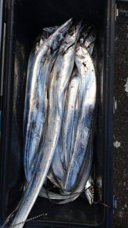 オーフリー 釣果