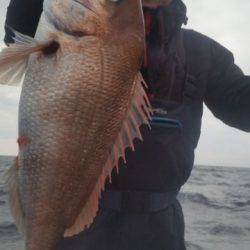 飛燕さくら丸 釣果