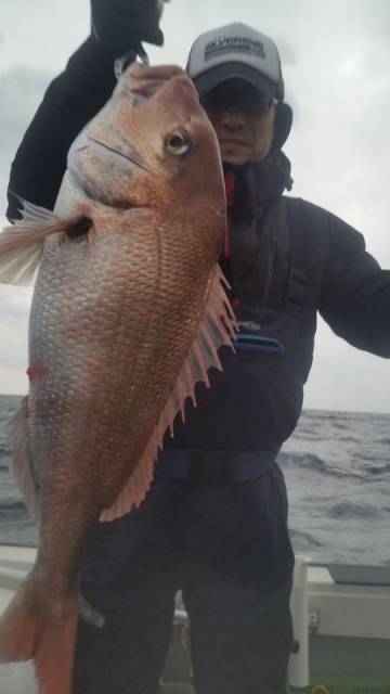 飛燕さくら丸 釣果