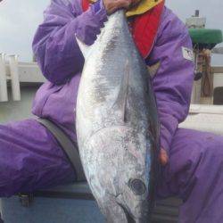飛燕さくら丸 釣果