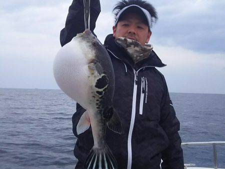 ふじしま 釣果