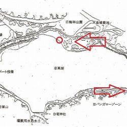 志高湖フィッシング 釣果