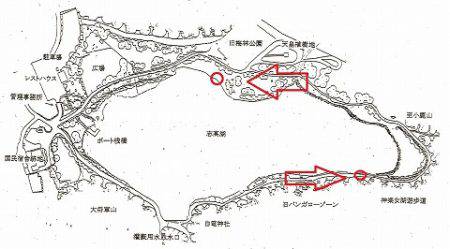 志高湖フィッシング 釣果