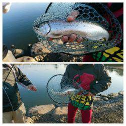 みどりフィッシングエリア 釣果