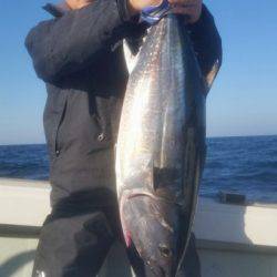 飛燕さくら丸 釣果