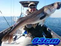 オーシャンマスター 釣果