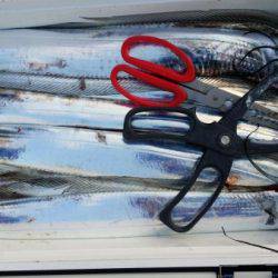 オーフリー 釣果