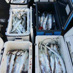 オーフリー 釣果