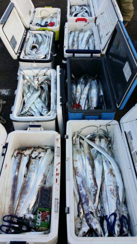 オーフリー 釣果