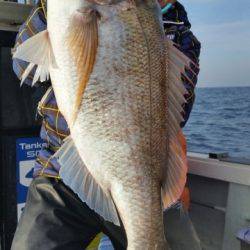 飛燕さくら丸 釣果