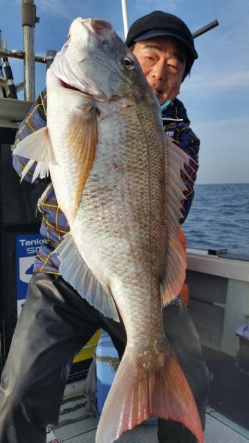 飛燕さくら丸 釣果