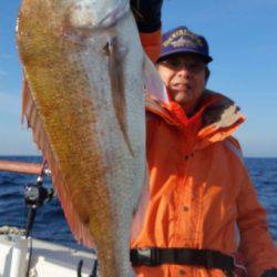 飛燕さくら丸 釣果