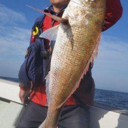 飛燕さくら丸 釣果