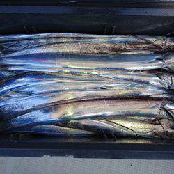 松本釣船2 釣果