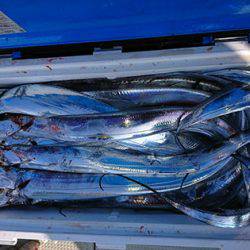 松本釣船2 釣果