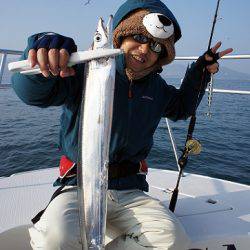 フルコンタクト 釣果