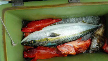 長栄丸(静岡) 釣果