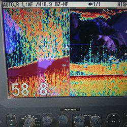 松本釣船２ 釣果