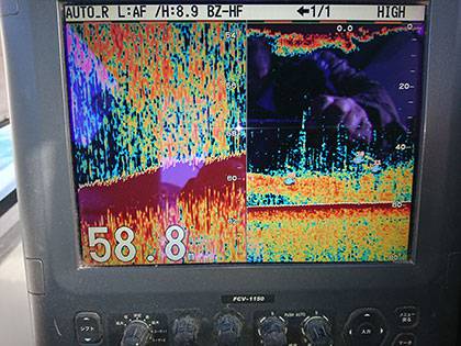 松本釣船２ 釣果