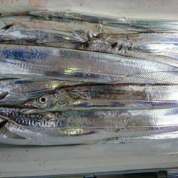 松本釣船２ 釣果