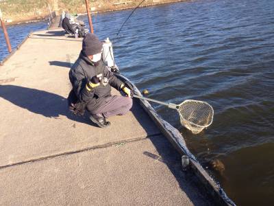 吉羽園 釣果