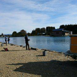 みどりフィッシングエリア 釣果