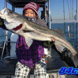 オーシャンマスター 釣果