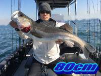 オーシャンマスター 釣果