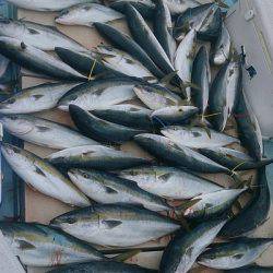 旭星釣りセンター 釣果