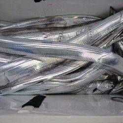 松本釣船2 釣果