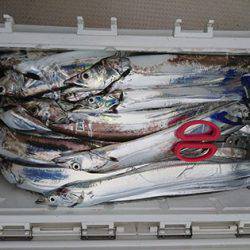 松本釣船2 釣果