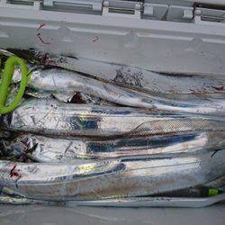 松本釣船2 釣果