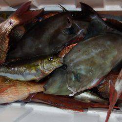 第三むつりょう丸 釣果