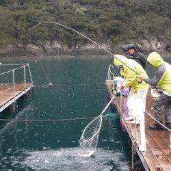 松名瀬フィッシングパーク 釣果