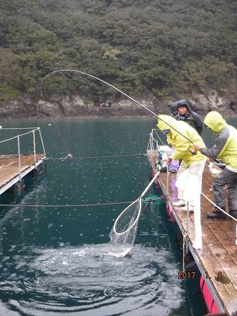 松名瀬フィッシングパーク 釣果