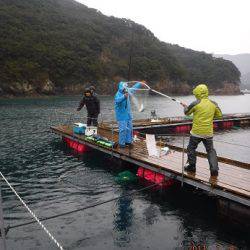 松名瀬フィッシングパーク 釣果