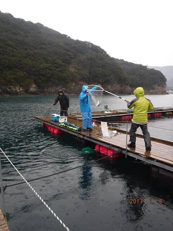 松名瀬フィッシングパーク 釣果