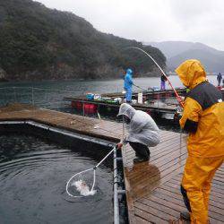 松名瀬フィッシングパーク 釣果