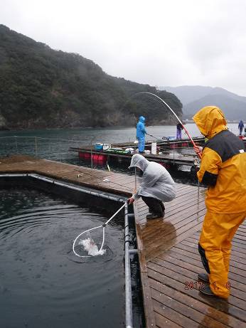 松名瀬フィッシングパーク 釣果
