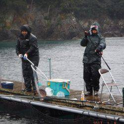 松名瀬フィッシングパーク 釣果