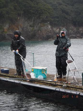 松名瀬フィッシングパーク 釣果