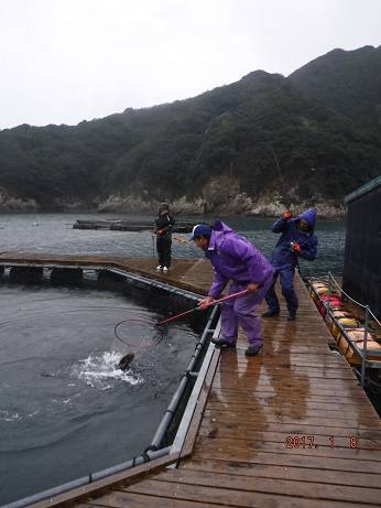 松名瀬フィッシングパーク 釣果