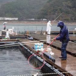 松名瀬フィッシングパーク 釣果