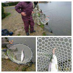 みどりフィッシングエリア 釣果