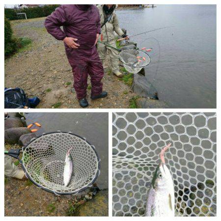 みどりフィッシングエリア 釣果