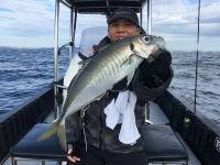 オーシャンマスター 釣果