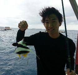 本部釣りイカダ 釣果