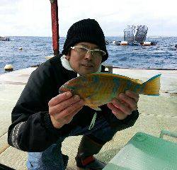 本部釣りイカダ 釣果