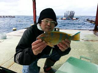本部釣りイカダ 釣果