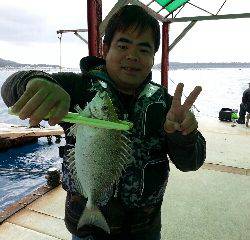 本部釣りイカダ 釣果